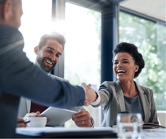 Meeting shanking hands (2)